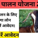 मोदी सरकार दे रही है बकरी पालन करने वालों को बकरी पालन बिज़नेस लोन 2024, जानें कैसे और कितना